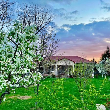 One Dom Cottage Qəbələ Exterior foto