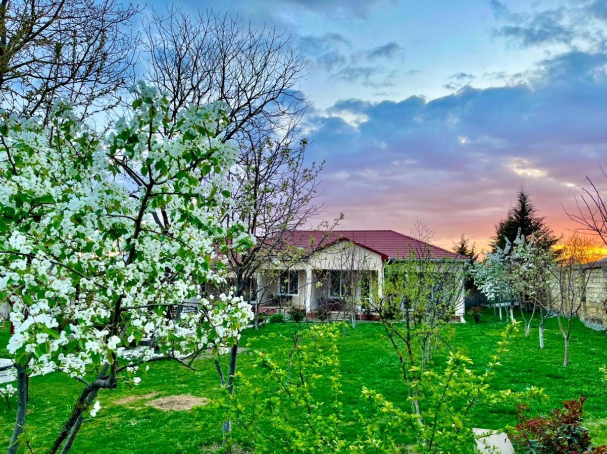 One Dom Cottage Qəbələ Exterior foto