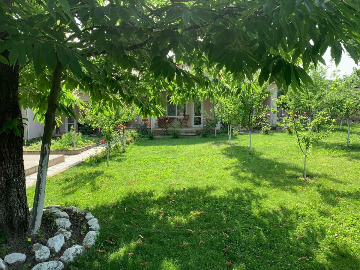 One Dom Cottage Qəbələ Exterior foto