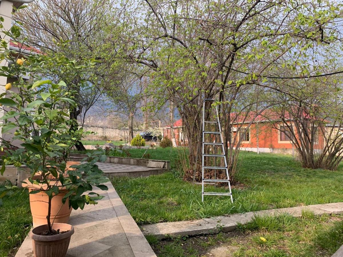 One Dom Cottage Qəbələ Exterior foto